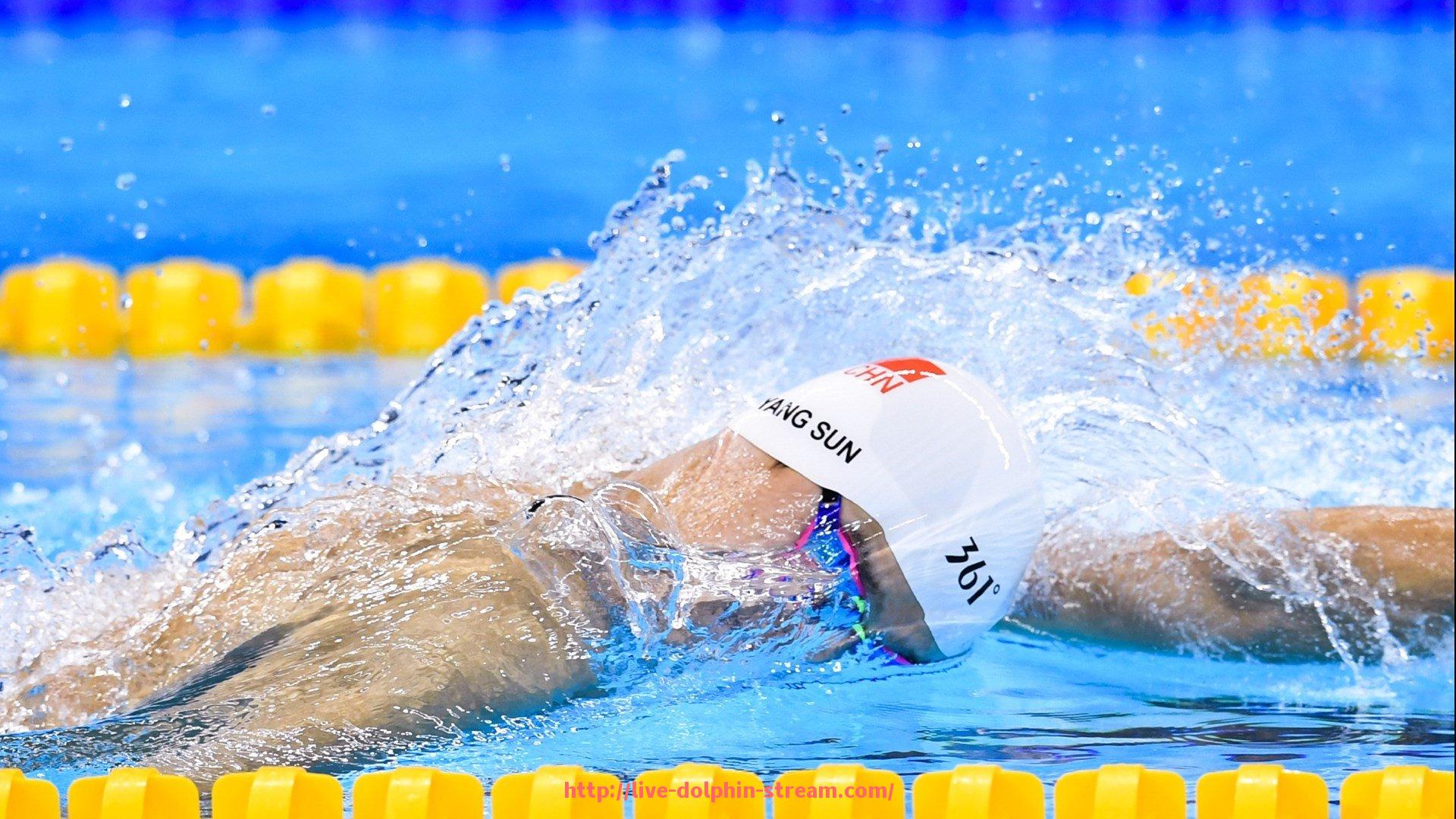 海豚直播-构建高效能的世俱杯商业合作项目管理工具体系