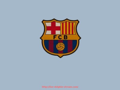 海豚直播-世俱杯球队赛季表现回顾：参赛俱乐部2024赛季战绩盘点