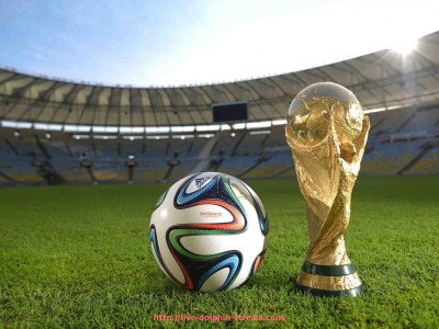 海豚直播-法甲球队主力阵容结构及位置分布解析