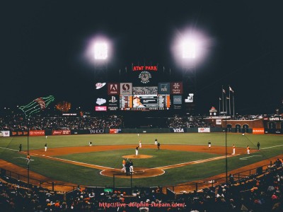 海豚直播-热刺球员在世俱杯中的表现追踪，详细记录每位球员贡献