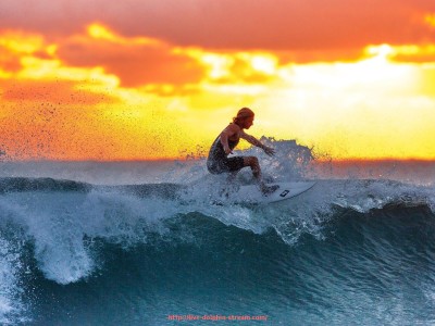 海豚直播-火箭队历史球员名单及球队发展历程介绍